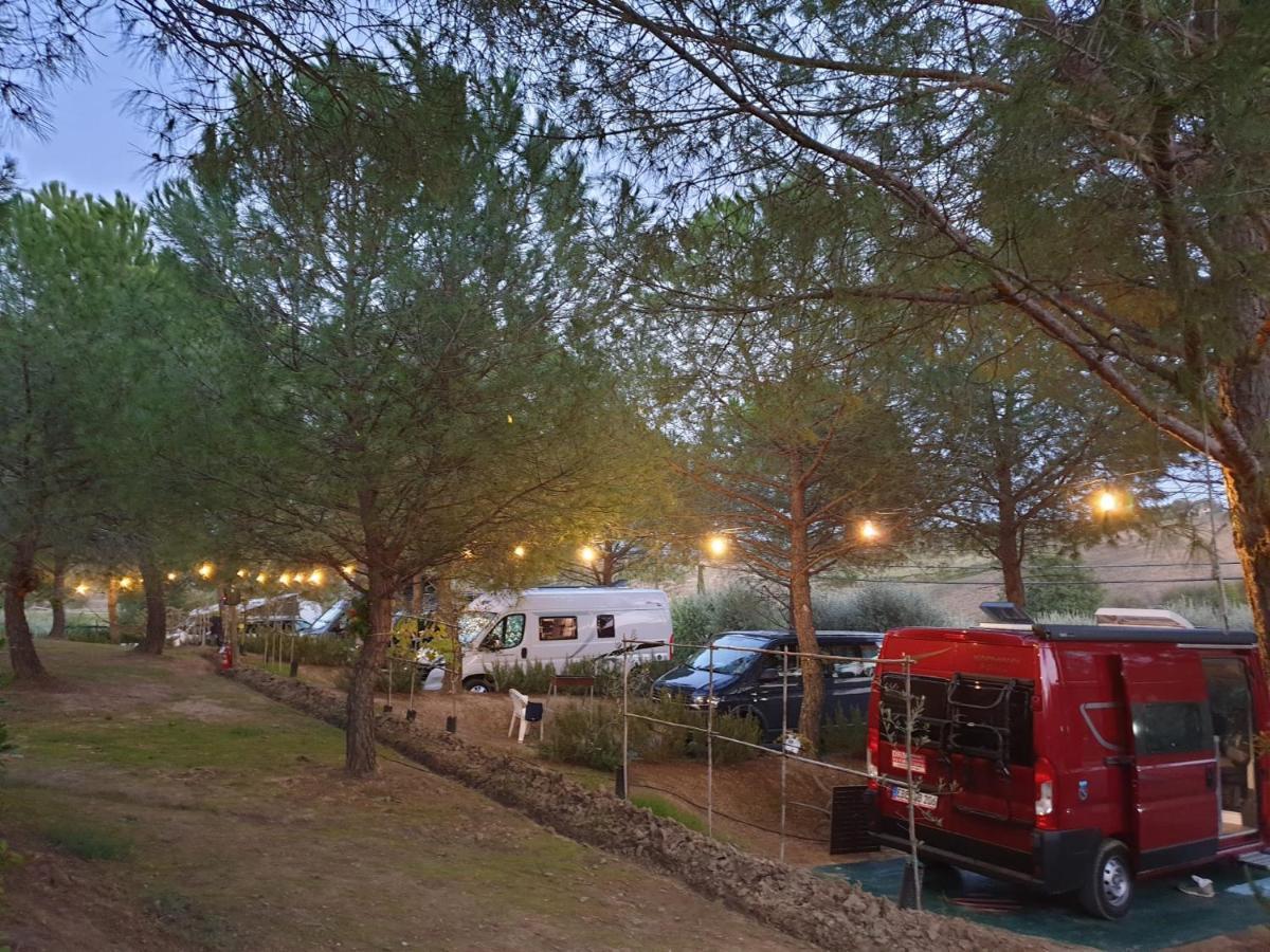 Agricamping Poggio Ai Pini Wine Camping Чертальдо Екстер'єр фото