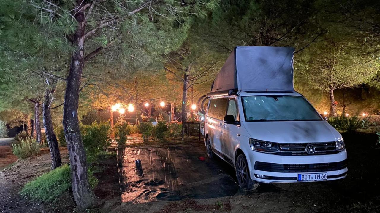 Agricamping Poggio Ai Pini Wine Camping Чертальдо Екстер'єр фото