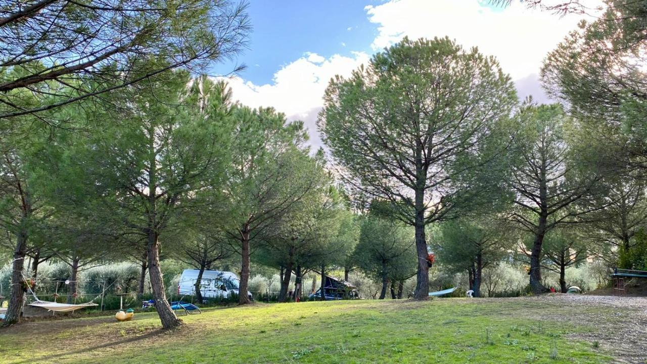 Готель Agricamping Poggio Ai Pini Wine Camping Чертальдо Екстер'єр фото