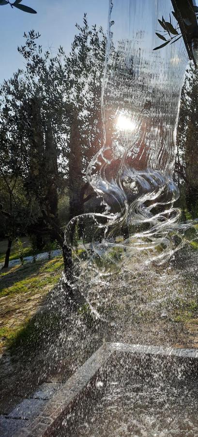 Agricamping Poggio Ai Pini Wine Camping Чертальдо Екстер'єр фото