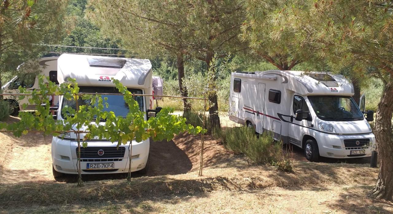 Готель Agricamping Poggio Ai Pini Wine Camping Чертальдо Екстер'єр фото